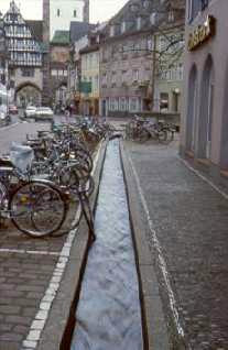 baechle.jpg (16335 Byte)