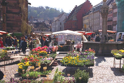 marki.jpg (33582 Byte)