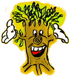 baumia.gif (11796 Byte)