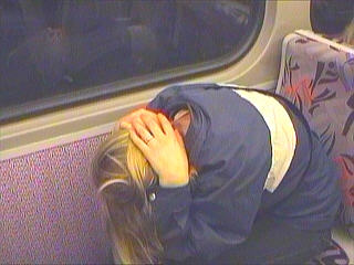 berlinbue.jpg (17245 Byte)