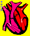 bio1.gif (9165 Byte)