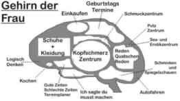 gehirn klein.jpg (4679 Byte)