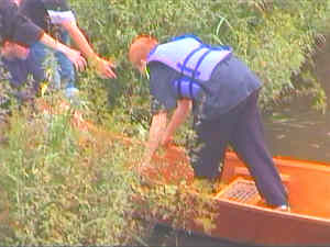 kanu9.jpg (10122 Byte)