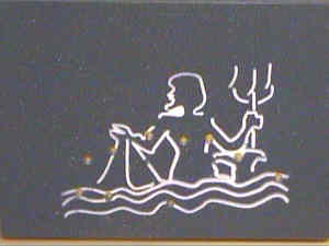 te-stern2.jpg (5995 Byte)