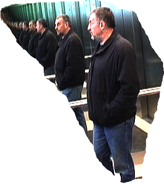 werner.gif (58804 Byte)